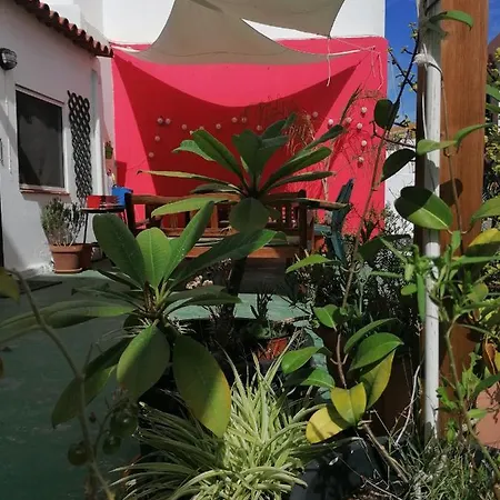 Tatil Evi Alojamiento Ideal Grupos